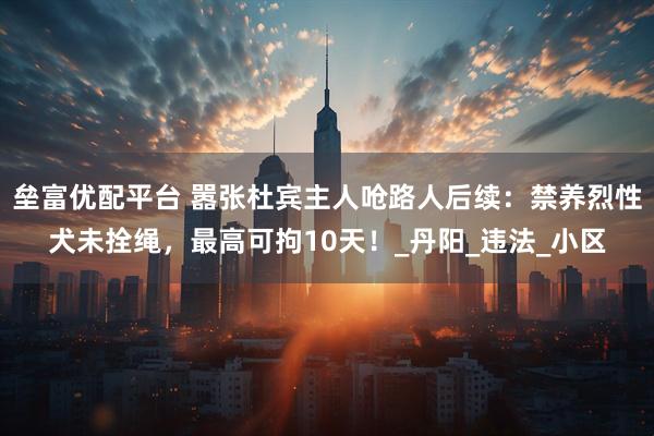 垒富优配平台 嚣张杜宾主人呛路人后续：禁养烈性犬未拴绳，最高可拘10天！_丹阳_违法_小区