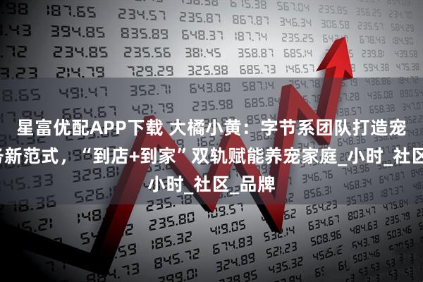 星富优配APP下载 大橘小黄：字节系团队打造宠物服务新范式，“到店+到家”双轨赋能养宠家庭_小时_社区_品牌