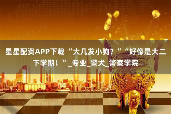 星星配资APP下载 “大几发小狗?”“好像是大二下学期!”_专业_警犬_警察学院