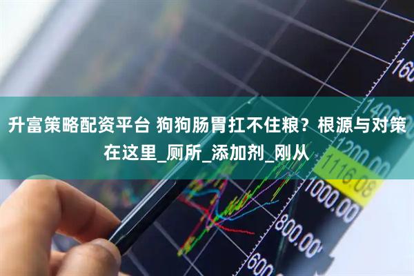 升富策略配资平台 狗狗肠胃扛不住粮?根源与对策在这里_厕所_添加剂_刚从