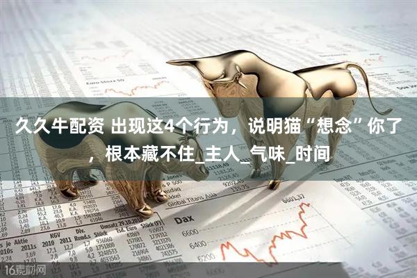 久久牛配资 出现这4个行为,说明猫“想念”你了,根本藏不住_主人_气味_时间